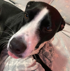 Meet your Posher, Eva